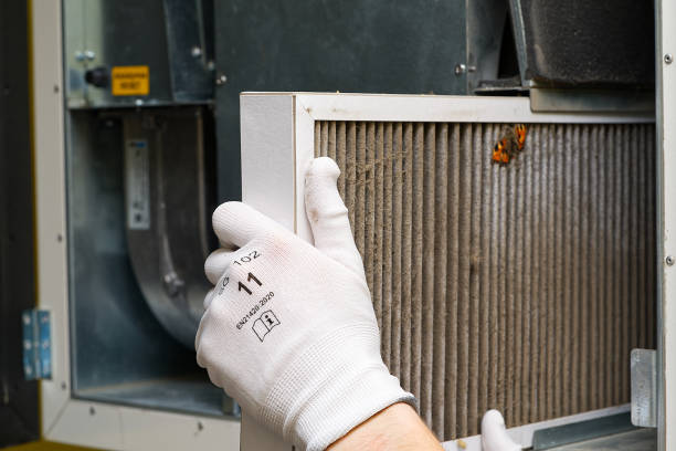 Best Air Duct Cleaning Cost  in Rouse, CA